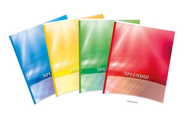 Verslagschrift Aurora Splendid karton A4 commercieel geruit 36blz met blauwe marge