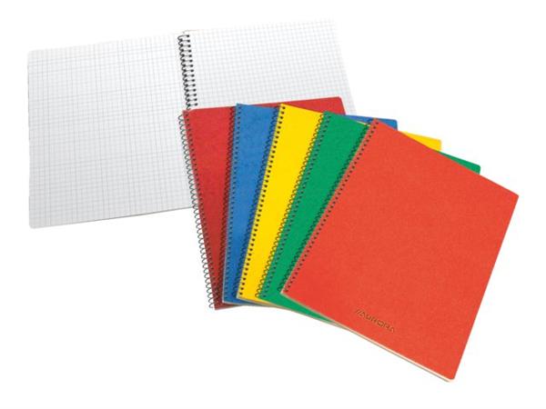 Spiraalschrift Aurora Writing 60 karton 80x135mm 100blz zonder kantlijn geruit 5mm assorti