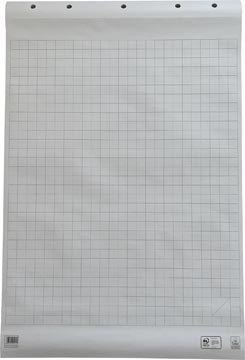 Work Papierblok voor Flipcharts, geruit, ft 65x98cm (50vel)