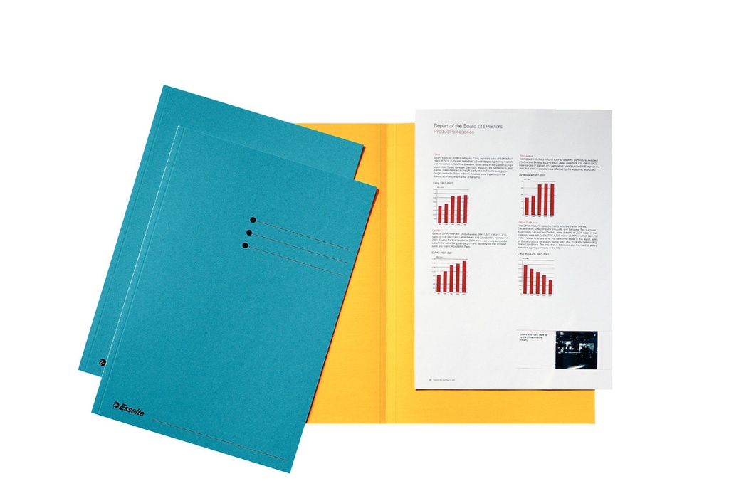 Dossiermap Esselte A4 180g (100)