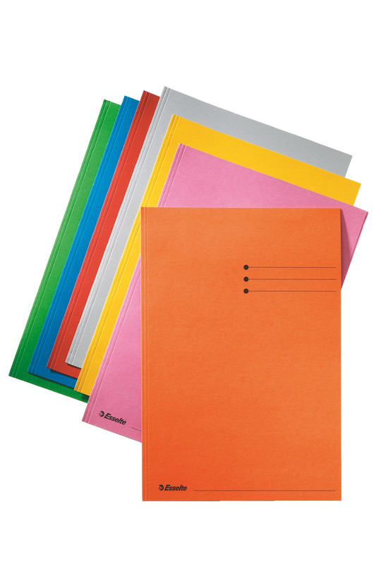 Dossiermap Esselte folio 180g (100)