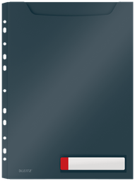 [ESS-46680089] Harmonica zichtmap Leitz Cosy PP A4 met 11-gaatse perforatiestrip 3 stuks (fluweel grijs)