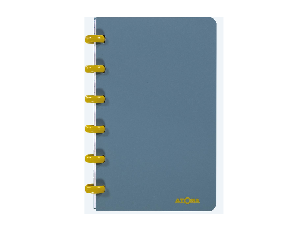 Schrift Atoma Terra PP A6 geruit 120 blz assorti