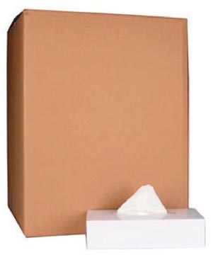 Papieren zakdoeken 2-laags 100 tissues per doos (40)