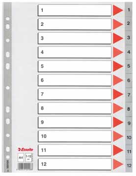 Tabbladen Esselte PP A4 1-12 11-gaats grijs