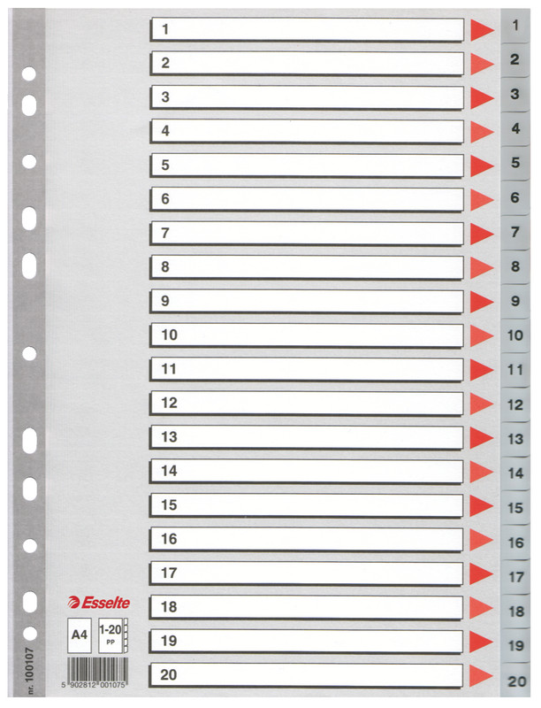 Tabbladen Esselte PP A4 1-20 11-gaats grijs