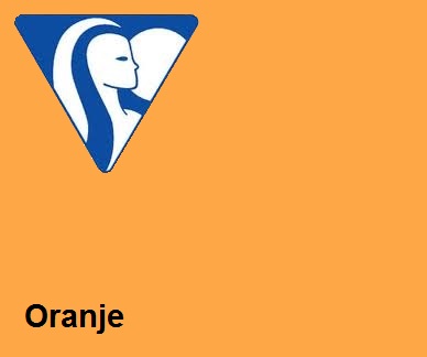 Clairefontaine DIN A4 120gr oranje (250) - FSC Mix credit