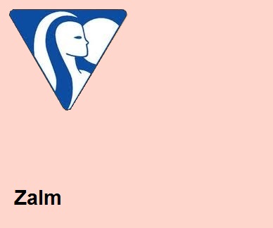 Clairefontaine DIN A4 120gr zalm (250)- FSC Mix credit