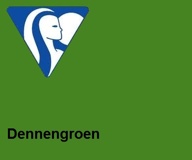 Clairefontaine DIN A4 120gr dennengroen (250)- FSC Mix credit