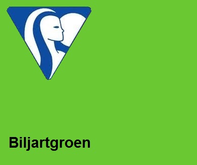 Clairefontaine DIN A4 120gr biljartgroen (250)- FSC Mix credit