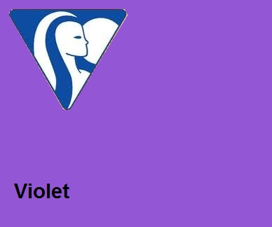 Clairefontaine DIN A4 160gr violet (250)- FSC Mix credit