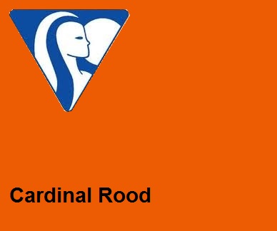 Clairefontaine DIN A4 160gr cardinalrood (250) - FSC Mix credit