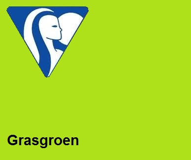 Clairefontaine DIN A3 160gr grasgroen (250) - FSC Mix credit