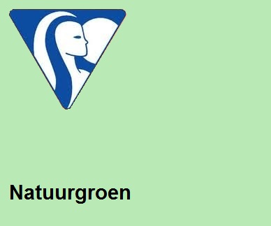 Clairefontaine DIN A3 160gr natuurgroen (250) - FSC Mix credit