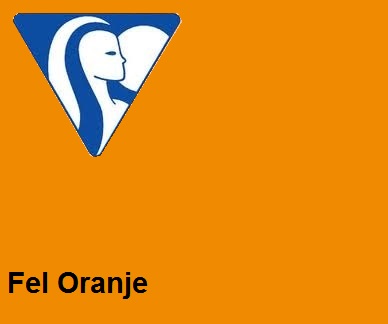 Clairefontaine DIN A4 160gr heloranje (250) - FSC Mix credit