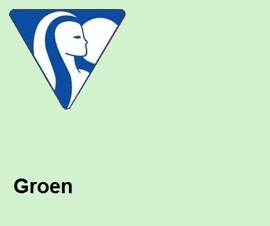 Clairefontaine DIN A4 160gr groen (250) - FSC Mix credit