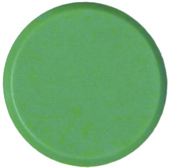 Magneet Bouhon Ø10mm groen (10)