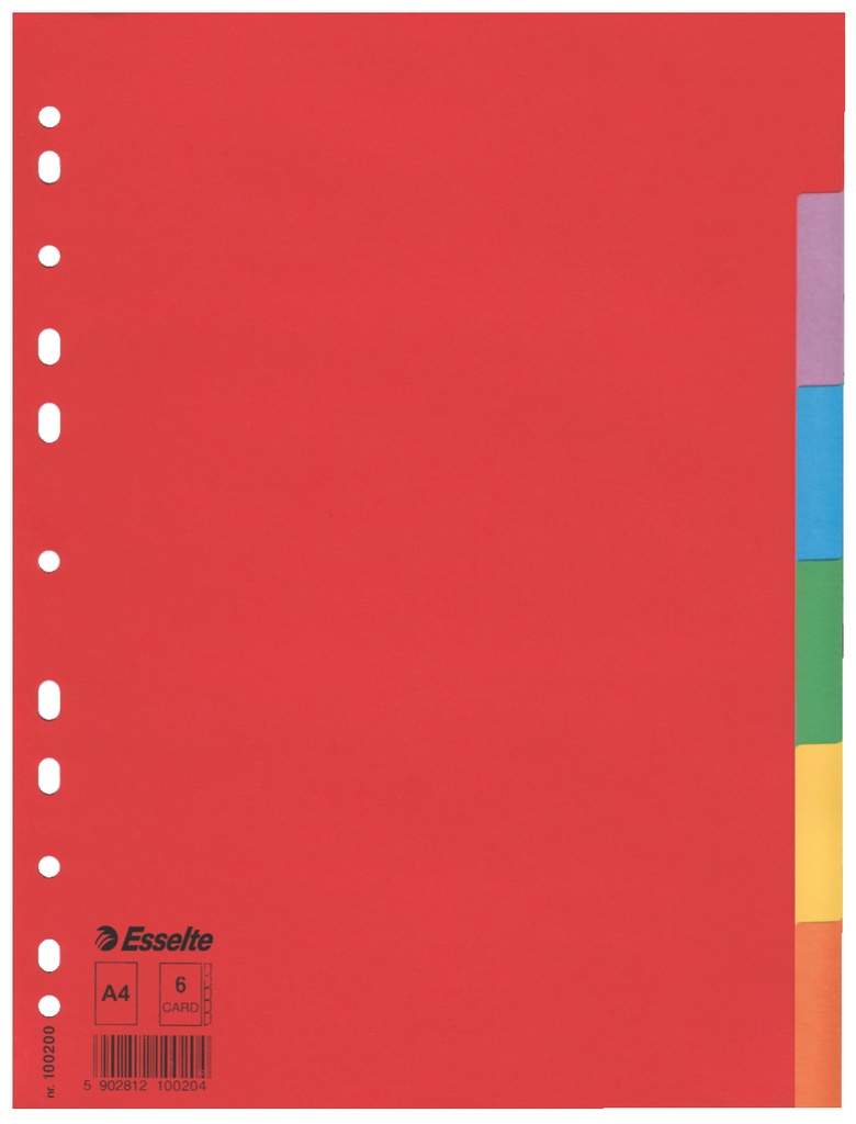 Tabbladen Esselte gerecycled karton A4 160g 6 tabs 11-gaats assorti