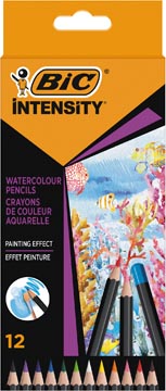 Aquarelpotlood Bic Intensity (12)