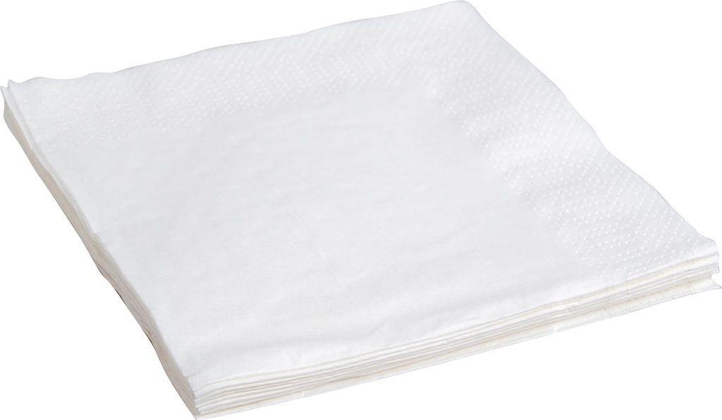 Servet 24x24cm 2-laags wit (4000)