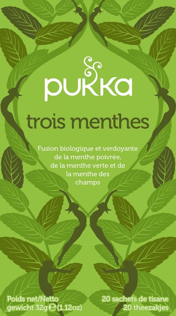 Thee Pukka Bio Mint (20)