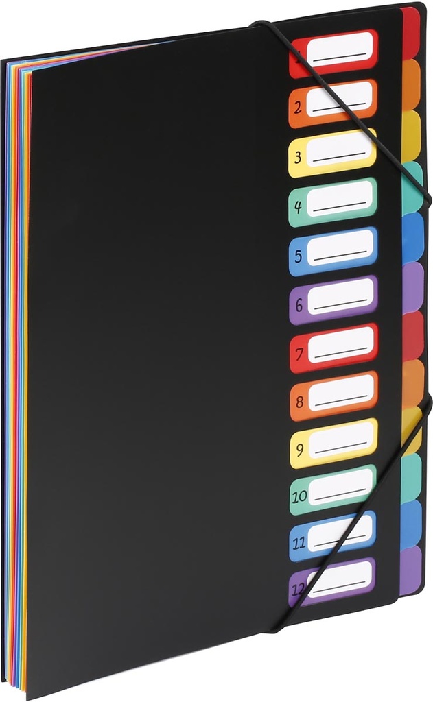 Sorteermap Viquel Rainbow Class A4 12-vaks zwart en tabs assorti
