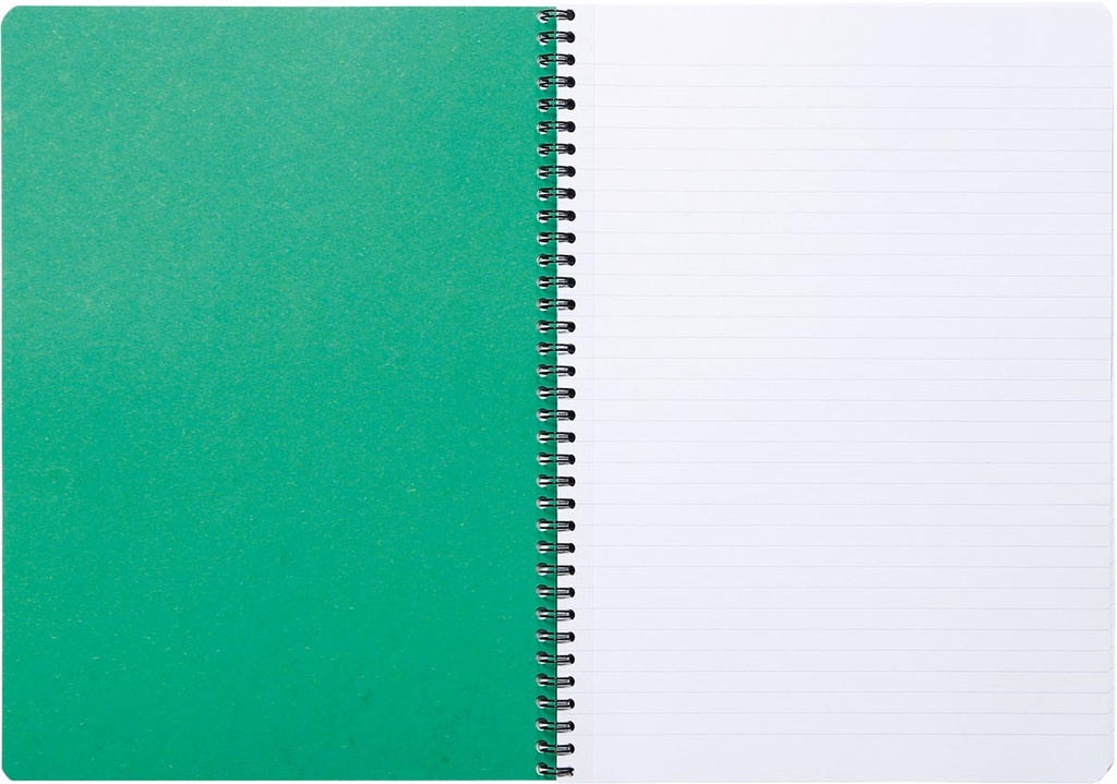 Spiraalschrift Clairefontaine Forever karton A4 120blz zonder kantlijn microperf groen