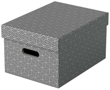 Esselte Home middelgrote opberg-en geschenkdoos karton (3)