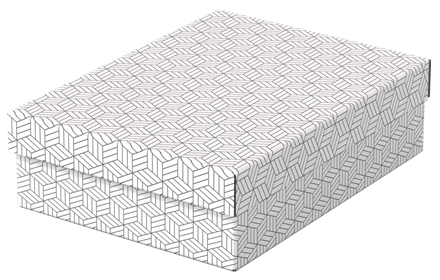 [ESS-628284] Esselte Home middelgrote lage opberg-en geschenkdoos karton (3) (wit)