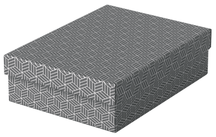 Esselte Home middelgrote lage opberg-en geschenkdoos karton (3)