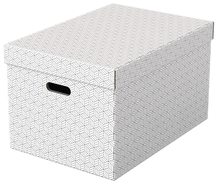 Esselte Home grote opberg-en geschenkdoos karton (3)