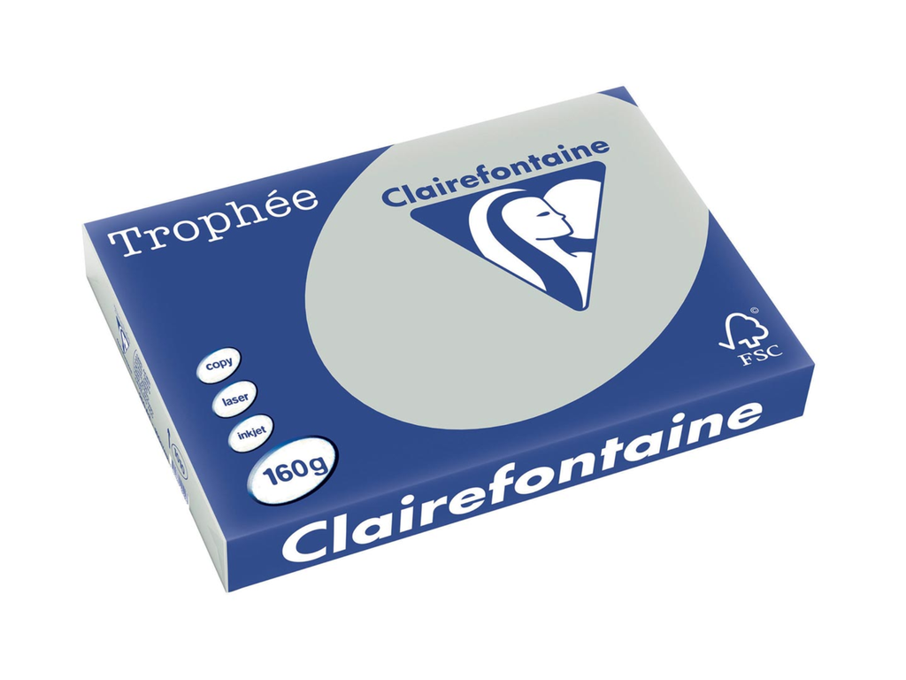 Trophée Pastel Clairefontaine gekleurd papier, A3 160 g lichtgrijs (250)