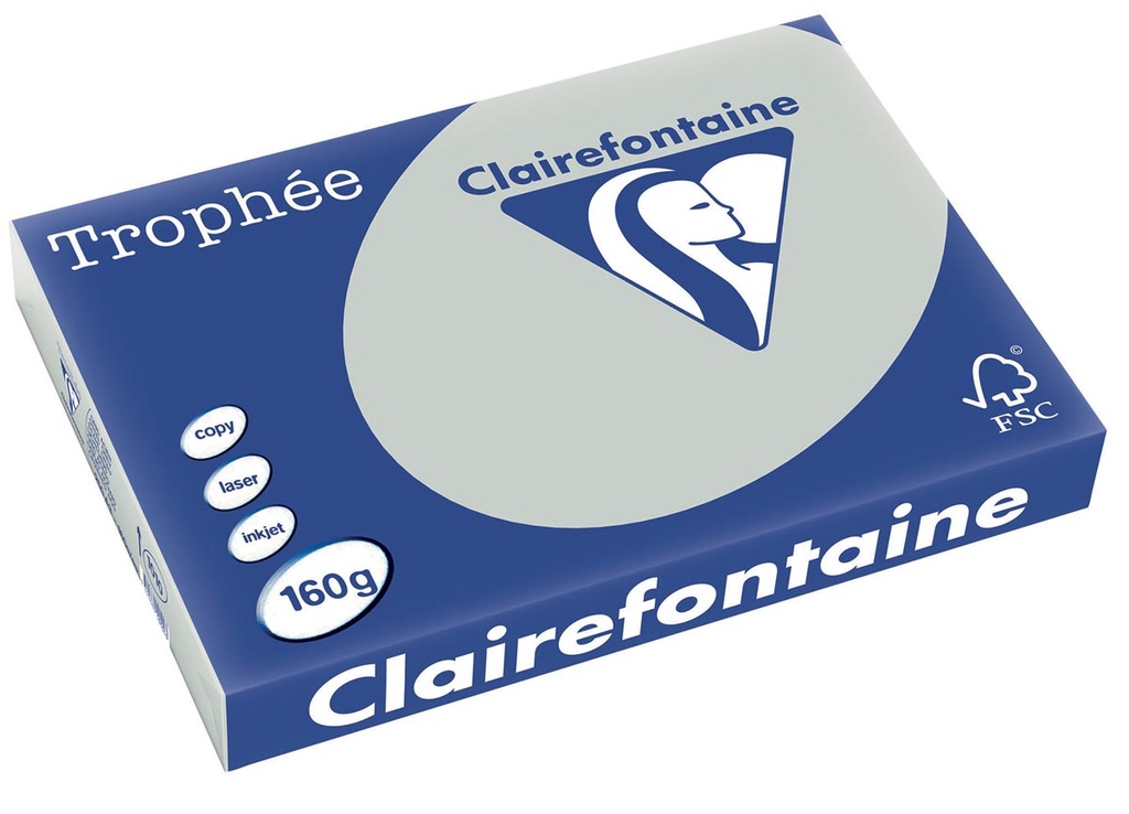 Trophée Pastel Clairefontaine gekleurd papier, A3 160 g lichtgrijs (250)