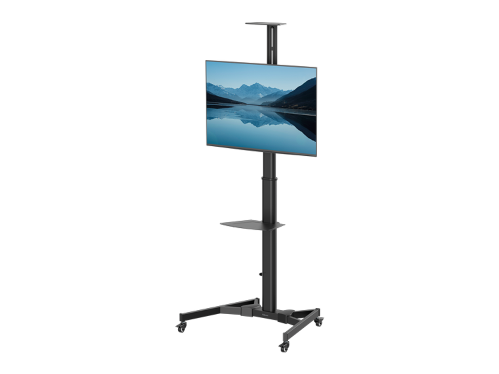 Mobiele TV standaard Zwart