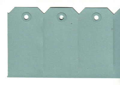 Hangkaartjes radium 60x120 225gr groen (1000)