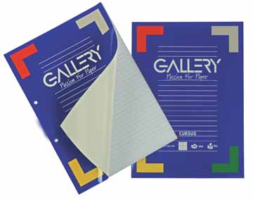 Cursusblok Gallery A4 80gr gelijnd