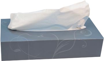 Papieren zakdoeken Katrin Plus 2-laags 100 tissues per doos