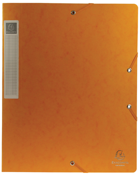 Elastobox Exacompta karton A4 rug 40mm geel