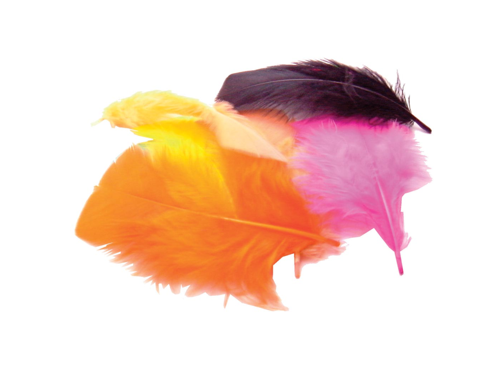 Pluimen Bouhon 4cm assorti (120)