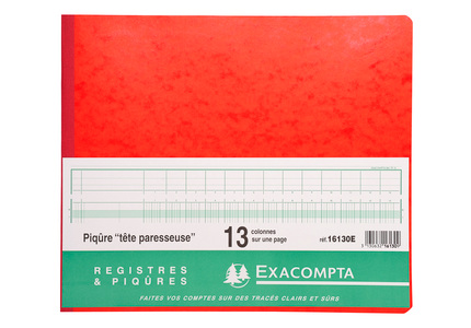 Register Exacompta karton 27x32cm 80blad 13 kolommen met inkeping