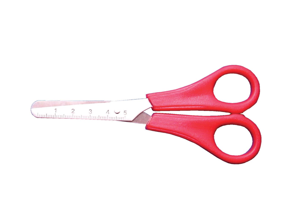 Schaar Bouhon inox 14cm assorti