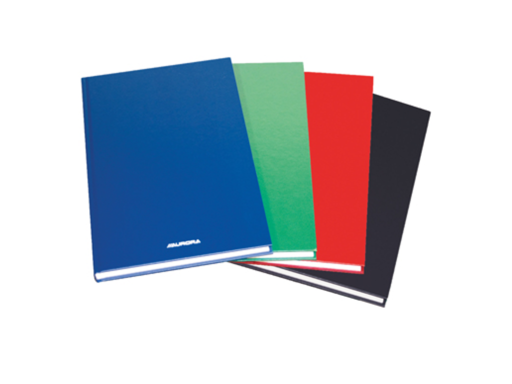 Magazijnboek Aurora 21,5x33,5cm commercieel geruit 192blz assorti