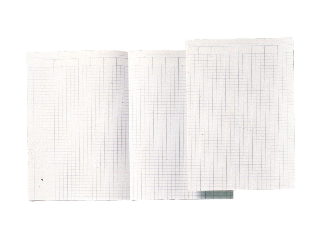 Accountantspapier Atlanta 29,4x20,7cm dubbel gevouwen nederlandstalig (20x5vel)