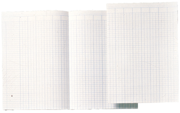 Accountantspapier Atlanta 29,4x20,7cm dubbel gevouwen nederlandstalig (20x5vel)