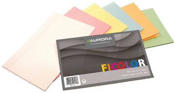 Systeemkaarten Aurora 125x200mm 175gr assorti (120)