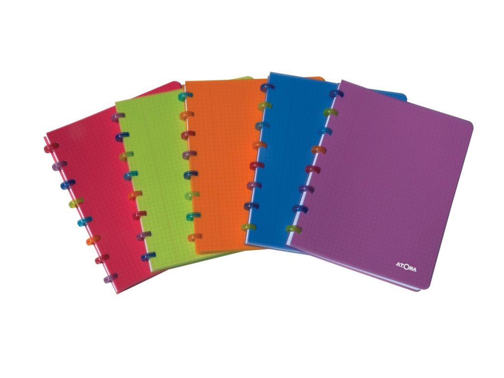 Schrift Atoma Tutti Frutti PP A4 commercieel geruit 144blz transparant assorti