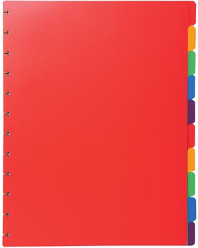 Tabbladen Exacompta voor showalbum met ringen PP A4 10-tabs assorti