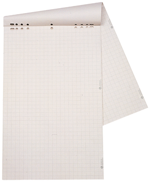 Papierblok voor flipchart Dahle 68x95cm geruit 20 vel