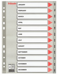 [ESS-100114] Tabbladen Esselte PP A4 jan-dec 11-gaats grijs