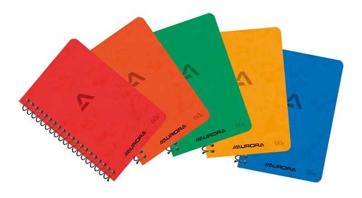 [KAN-1140GQ5] Spiraalschrift Aurora Writing 60 karton 75x110mm 80blz zonder kantlijn geruit 5mm assorti